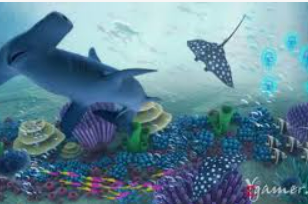 开玩棋牌ky免费版